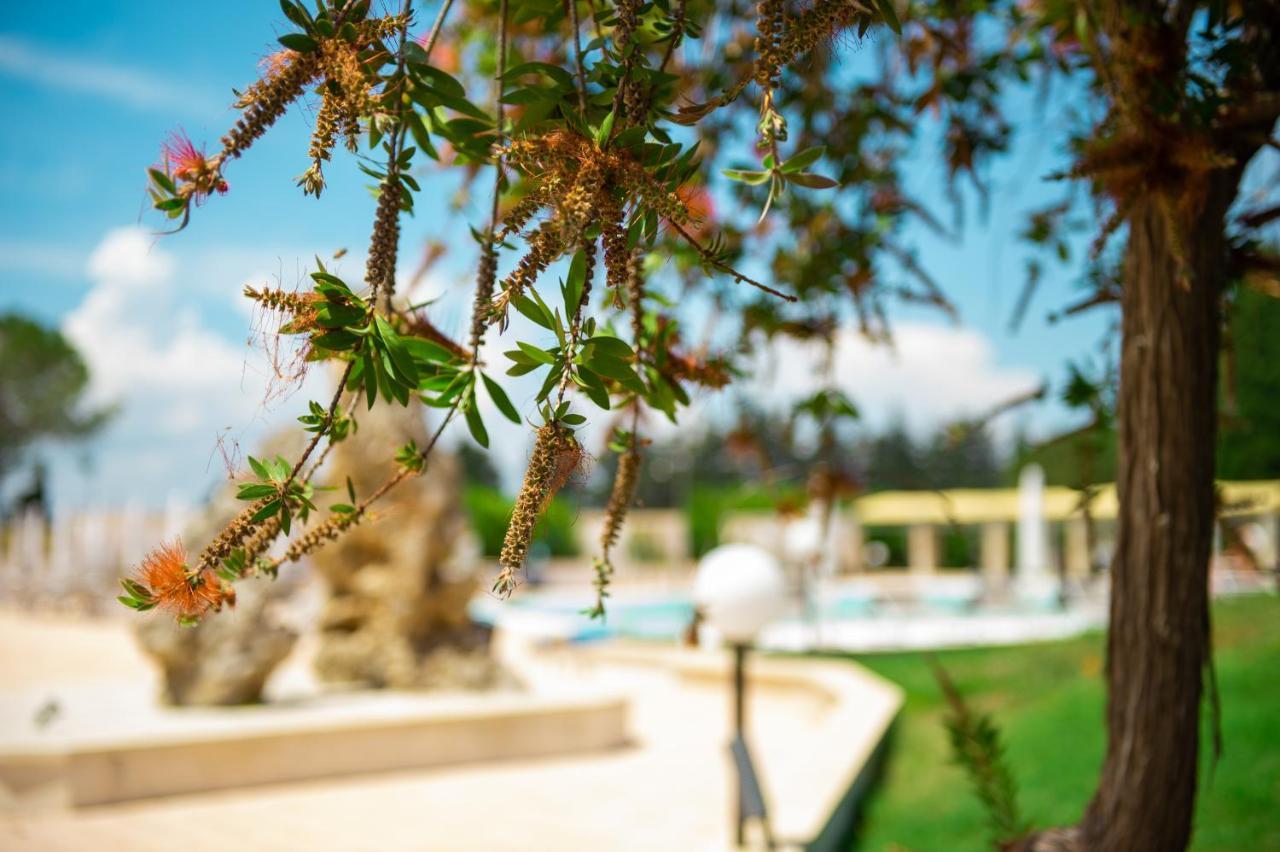 Villa Conca Marco Torre dell'Orso Buitenkant foto